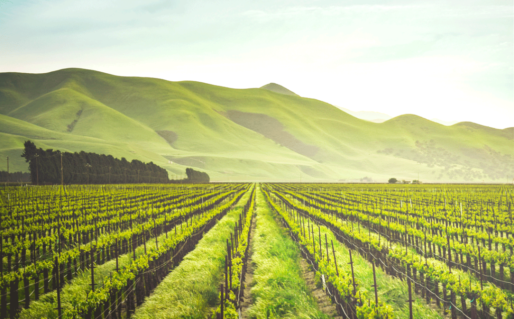 Our Pick of Agribusiness Apps in 2018